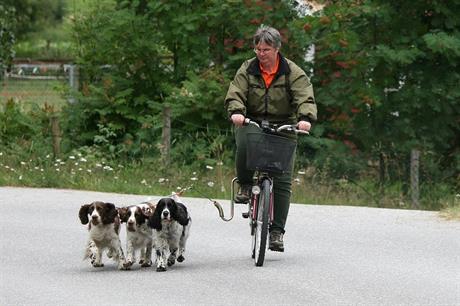 syklist med hunder